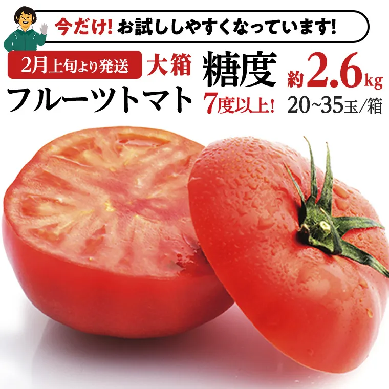 【12/31まで早期予約 特別寄附金額】 糖度7度以上！フルーツトマト 大箱 約2.6kg × 1箱 （20～35玉/1箱） 2025年2月から発送開始 トマト とまと 野菜 [BC018sa]