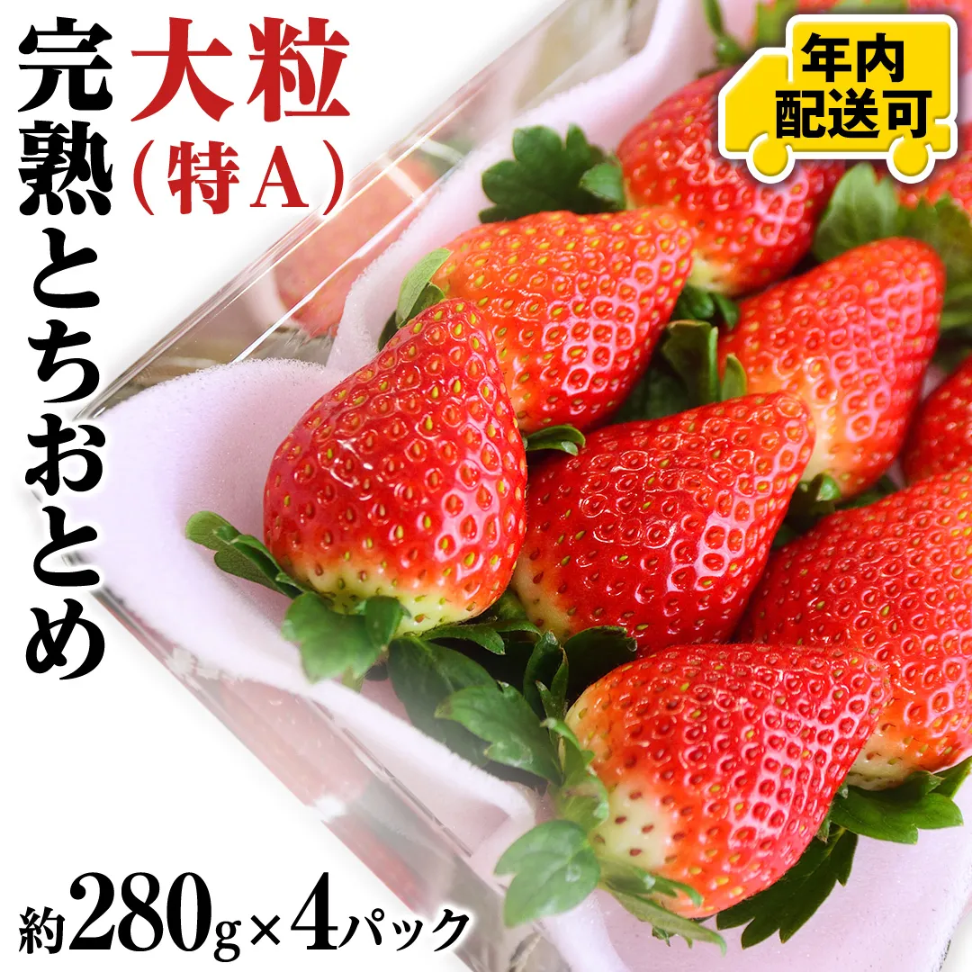 【12/15までの申込で年内にお届け！】完熟 とちおとめ 約280g×4パック 年内お届け 国産 いちご イチゴ 苺 果物 フルーツ 茨城県産 KEK[BC080sa]