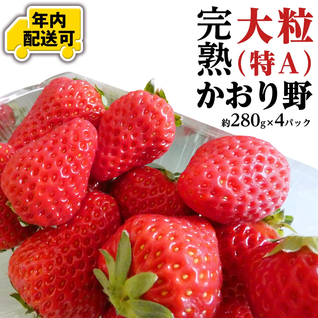 【12/15までの申込で年内にお届け！】 完熟 かおり野 約280g×4パック 年内お届け 国産 いちご イチゴ 苺 果物 フルーツ 茨城県産 KEK[BC082sa]