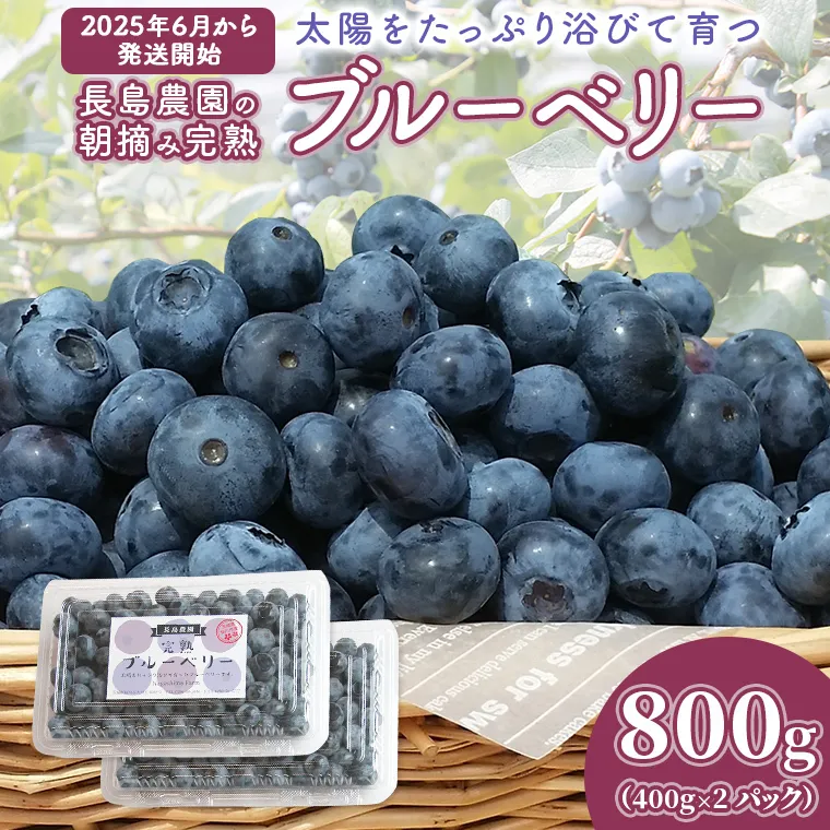 ブルーベリー 800g ( 400g × 2パック ) 【2025年6月から発送開始】 国産 茨城県産 ベリー フルーツ 果物 くだもの 自家製栽培[AK003sa]