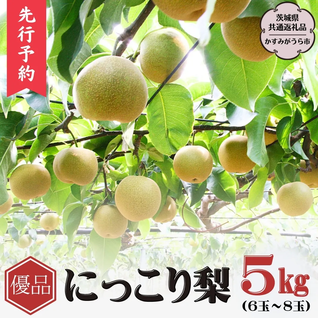 【2025年9月下旬から発送開始】《優品》 にっこり梨 5kg 6玉～8玉（茨城県共通返礼品／かすみがうら市） 鈴木農園 産地直送 フルーツ 甘い 直送 茨城 限定 にっこり [ED002sa]