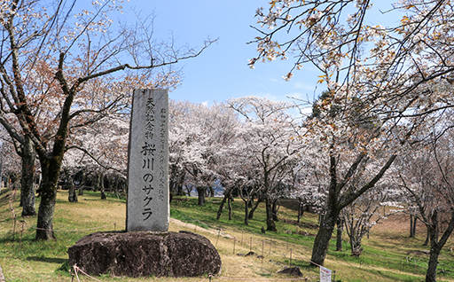 自然環境保全及び景観の維持、再生