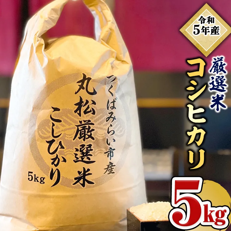 【数量限定】 令和5年産 つくばみらい市 ＜丸松＞ 厳選米 コシヒカリ 5kg 新生活 プレゼント 新生活応援 必要なもの 便利 おすすめ 消耗品 一人暮らし 二人暮らし 必要 [AL03-NT]