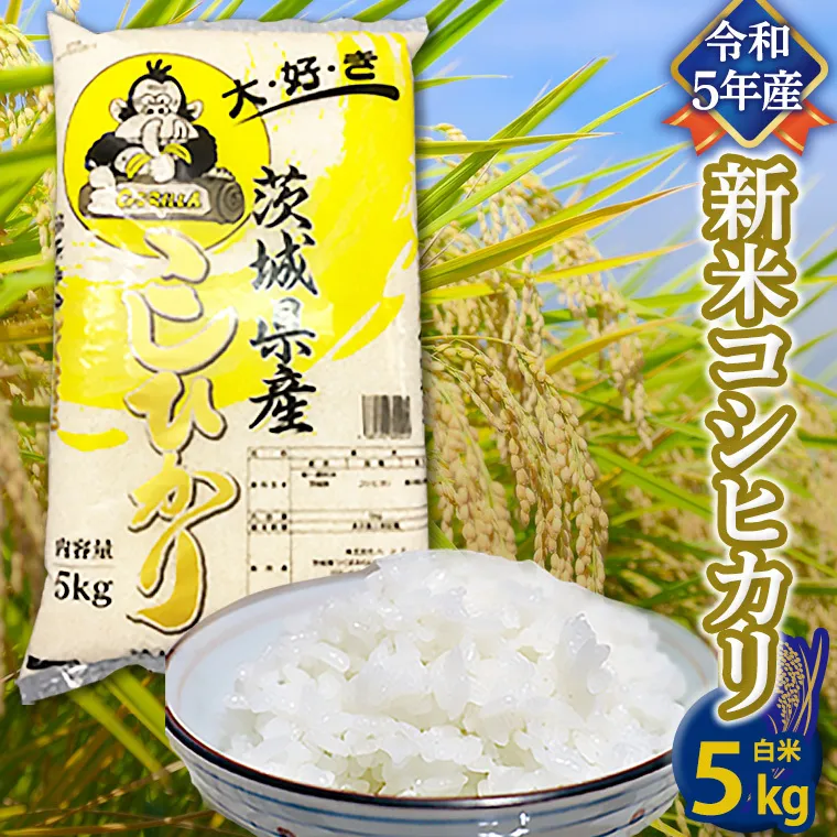 【令和5年産】 コシヒカリ 白米 5kg 米 お米 コメ おいしい 茨城県産 精米 国産 ブレンド 白米 こしひかり [AO21-NT]