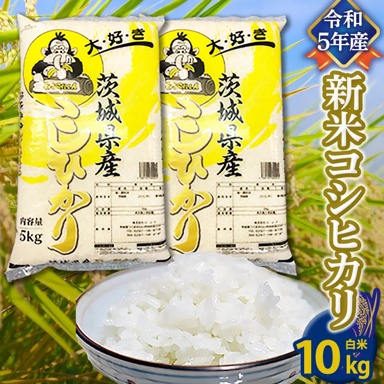 【令和5年産】 コシヒカリ 白米 10kg （5kg×2袋） こしひかり 米 お米 コメ おいしい 茨城県産 精米 国産 白米 [AO22-NT]