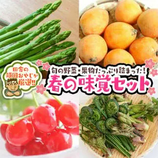 春の味覚（野菜・果物）厳選セット【令和5年4月より発送開始】田舎の頑固おやじが厳選！ [BIA7-NT]