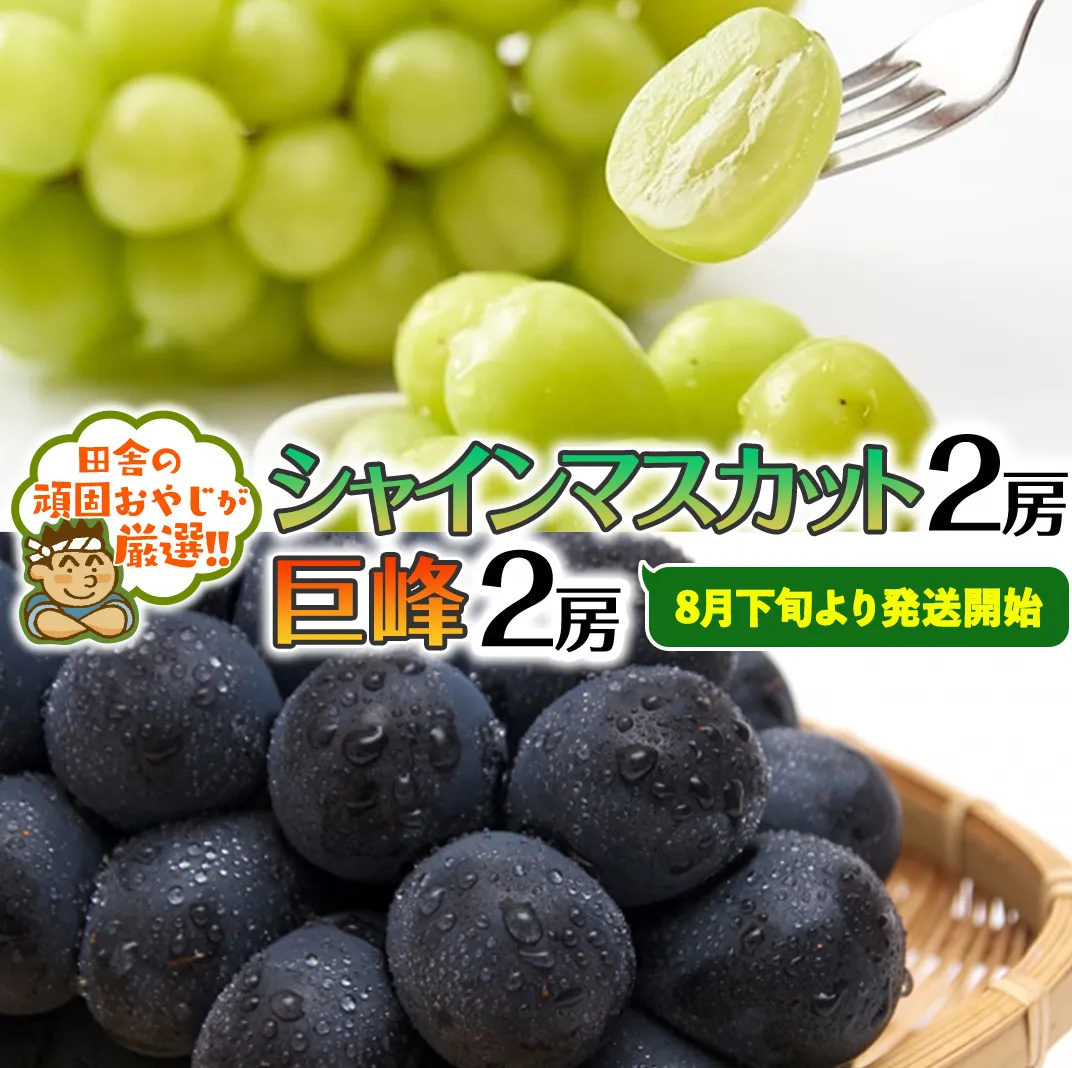 シャインマスカット2房・巨峰2房セット【令和6年8月下旬より発送開始】田舎の頑固おやじが厳選！ [BI114-NT]