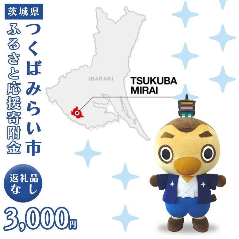 【 返礼品なし 】 茨城県 つくばみらい市 ふるさと応援寄附金 （ 3,000円 )	 [BH16-NT	]