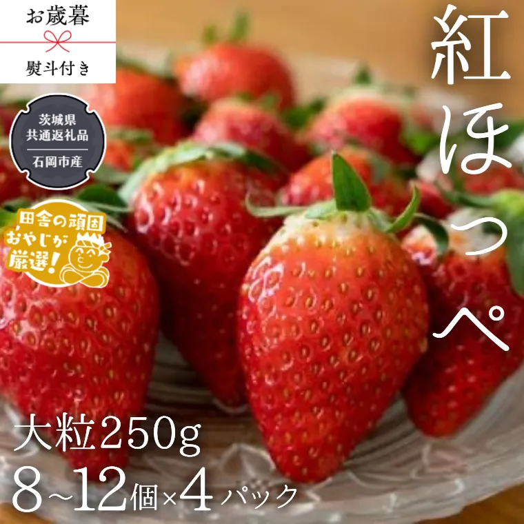 【 お歳暮 熨斗付 】紅ほっぺ〈いちご〉 大粒 250g（8～12粒）×4パック【令和6年12月から発送開始】（県内共通返礼品：石岡市産） いちご 苺 イチゴ 紅ほっぺ [BI372-NT]