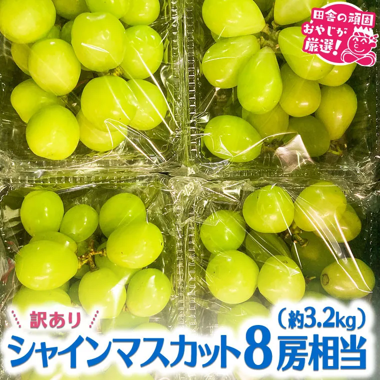 【訳あり】田舎の頑固おやじが厳選！シャインマスカット8房相当（約3.2kg） [BIC2-NT]