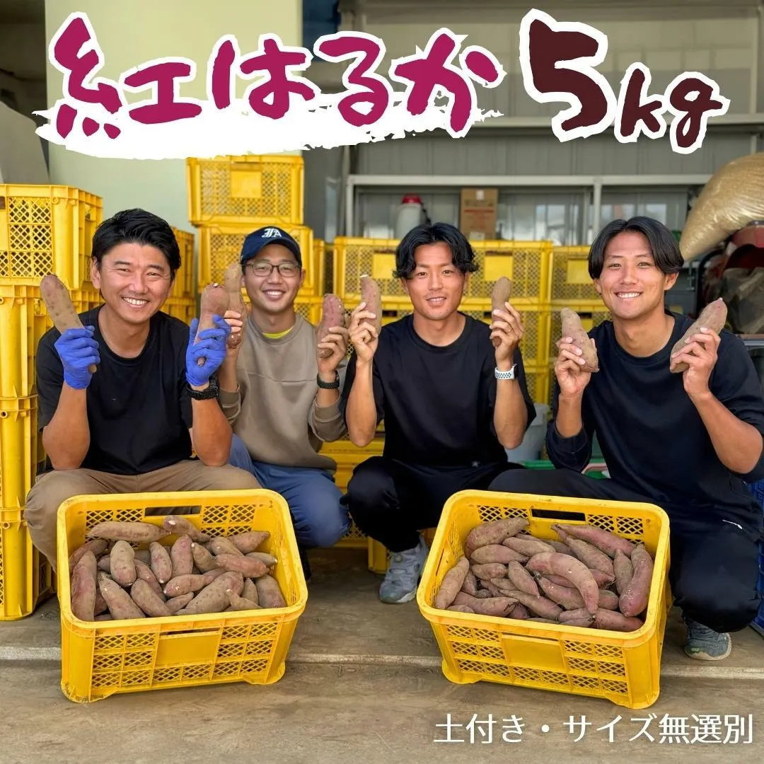 茨城県産 さつまいも 紅はるか 5kg （ 土付き サイズ無選別 ） べにはるか いも 茨城 甘い おいしい 美味しい [ED01-NT]