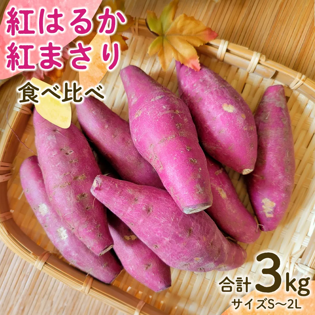 【 先行予約 】 茨城県産 紅はるか／紅まさり 食べ比べ 合計 3kg サイズS～2L さつまいも サツマイモ 紅はるか 紅まさり [EG02-NT]