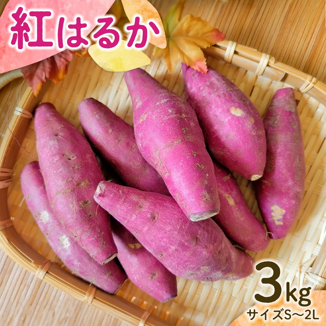 【 先行予約 】 茨城県産 紅はるか 3kg サイズS～2L さつまいも サツマイモ 紅はるか [EG04-NT]