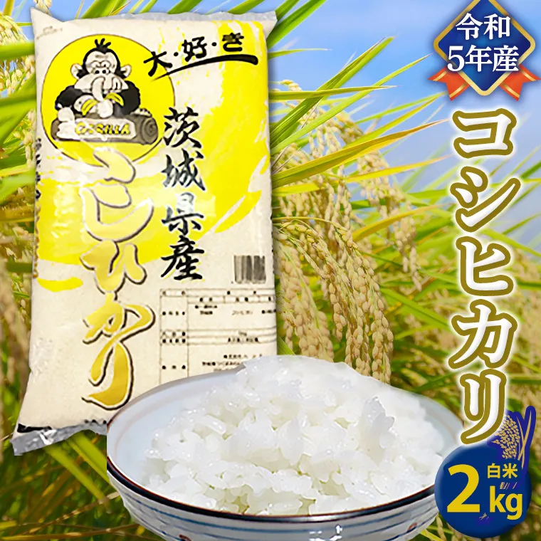 【令和5年産】 コシヒカリ 白米 2kg こしひかり 米 お米 コメ おいしい 茨城県産 精米 国産 甘い あまい [AO20-NT]