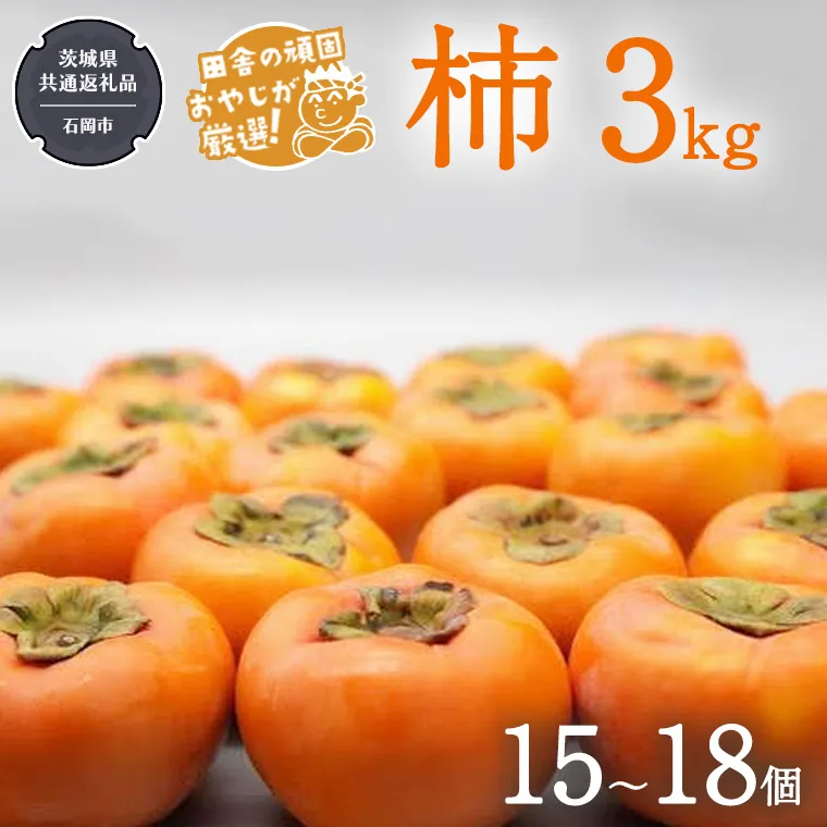 柿 3kg（15～18個）【令和6年10月より発送開始】（茨城県共通返礼品：石岡市産）柿 かき カキ 果物 フルーツ 茨城県産 [BI428-NT]