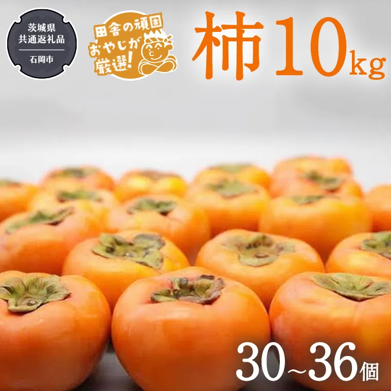 柿 10kg（30～36個）【令和6年10月より発送開始】（茨城県共通返礼品：石岡市産） 柿 かき カキ 果物 フルーツ 茨城県産 [BI429-NT]