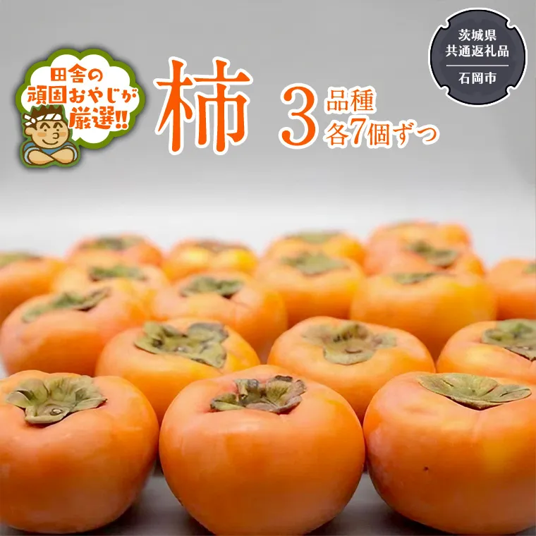 柿 3品種食べ比べ(各7個)【令和6年10月中旬より発送開始】（茨城県共通返礼品：石岡市産） 果物 フルーツ 茨城県産 [BI456-NT]