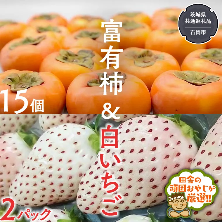 富有柿15個 と 白いちご2パック 【令和6年12月より発送開始】（茨城県共通返礼品：石岡市産） 詰め合わせ 果物 フルーツ 茨城県産 [BI458-NT]