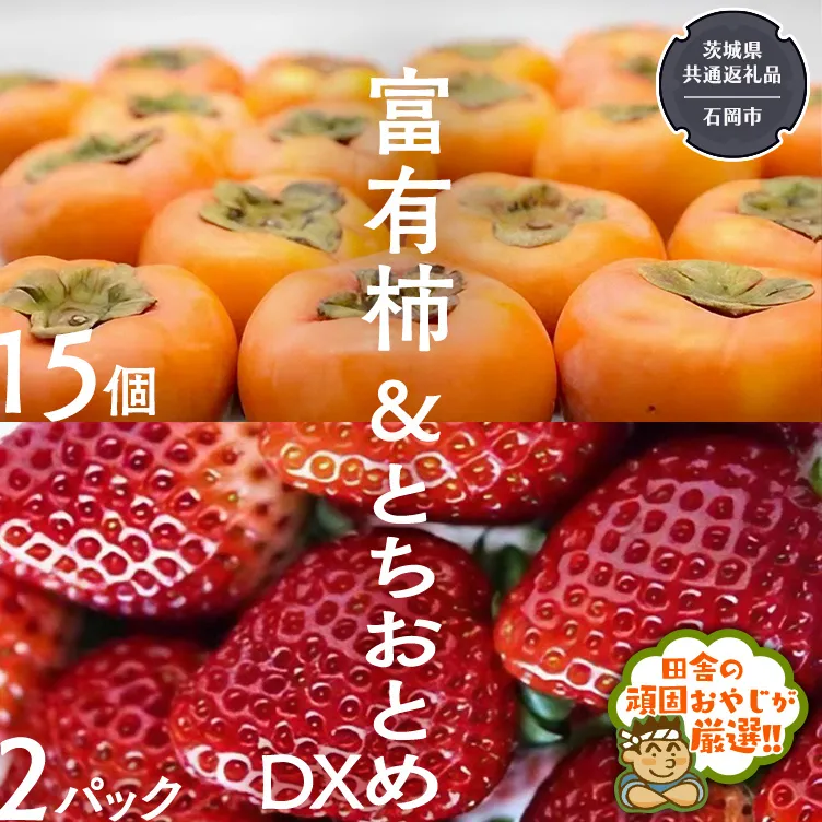 富有柿15個 と とちおとめDX2pk 【令和6年11月より発送開始】（茨城県共通返礼品：石岡市産） 詰め合わせ 果物 フルーツ 茨城県産 [BI459-NT]