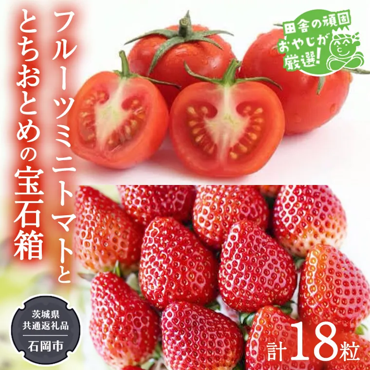 とちおとめ と フルーツミニトマトの宝石箱 18粒【令和7年1月から発送開始】（県内共通返礼品：石岡市産） 詰め合わせ 果物 フルーツ 茨城県産 [BI468-NT]