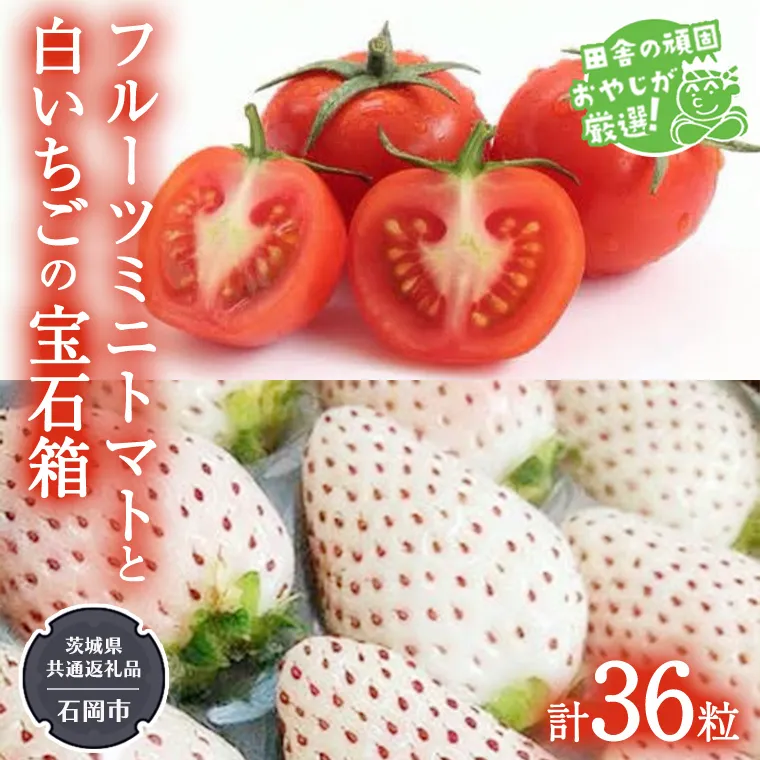 白いちご と フルーツミニトマトの宝石箱 36粒【令和7年1月から発送開始】（県内共通返礼品：石岡市産） 詰め合わせ 果物 フルーツ 茨城県産 [BI469-NT]