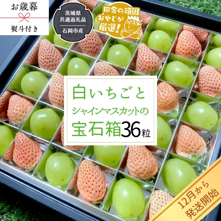 【 お歳暮 熨斗付 】シャインマスカットと白いちごの宝石箱 36粒【令和6年12月から発送開始】（県内共通返礼品：石岡市産） いちご 苺 イチゴ 白いちご 白イチゴ シャインマスカット マスカット 宝石箱 [BI379-NT]