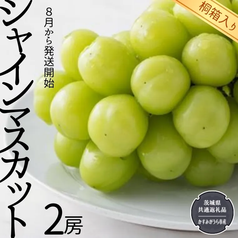 【 桐箱入り 】 シャインマスカット 2房 【令和6年8月から発送開始】（県内共通返礼品：かすみがうら市産） 果物 フルーツ ぶどう マスカット ギフト 贈答 プレゼント 桐箱 [BI337-NT]