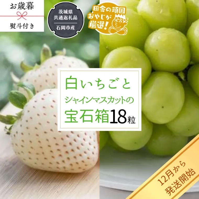 【 お歳暮 熨斗付 】 シャインマスカットと白いちごの 宝石箱 18粒【令和6年12月から発送開始】（県内共通返礼品：石岡市産） いちご 苺 イチゴ 白いちご 白イチゴ シャインマスカット マスカット 宝石箱 [BI376-NT]