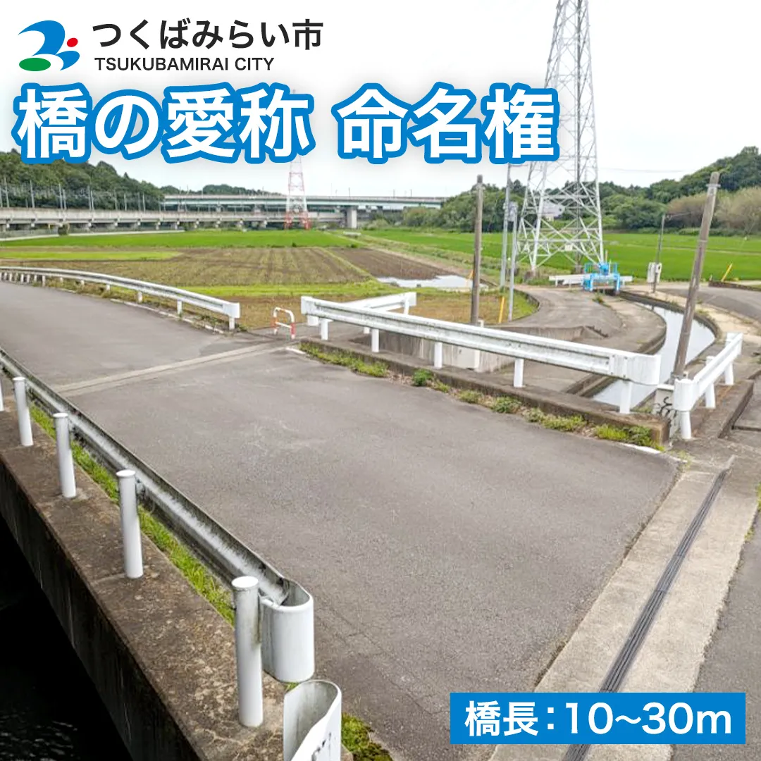 つくばみらい市 橋の愛称 命名権 （橋長10m～30m） 命名 橋 名づけ 権利 広告 ネーミングライツ [EO02-NT]