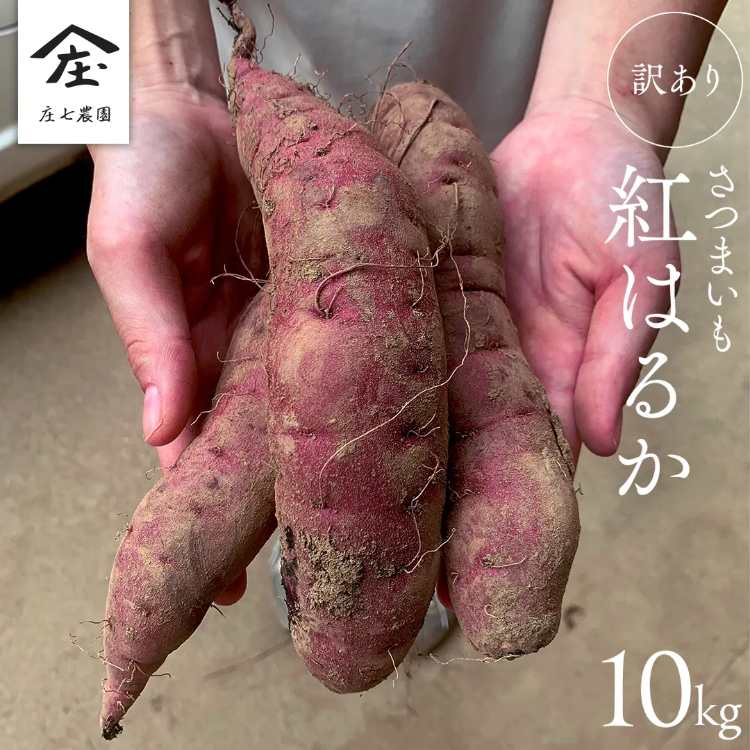 【 訳あり 】 さつまいも ！ 紅はるか 10kg サツマイモ 芋 いも べにはるか 茨城 美味しい おいしい ワケアリ 訳アリ [BK10-NT]