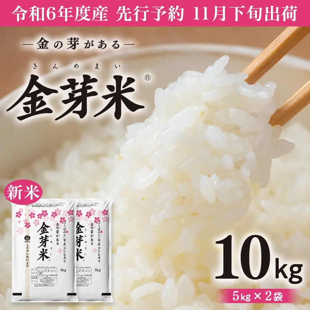 【 令和6年産・新米 11月下旬発送 】【 金芽米 】 つくばみらい市産 コシヒカリ 5kg × 2袋 ( 計 10kg ) 金芽米 きんめまい 米 お米 無洗米 茨城県 カロリーオフ 低カロリー 東洋ライス 節水 時短 アウトドア キャンプ [EK03-NT]