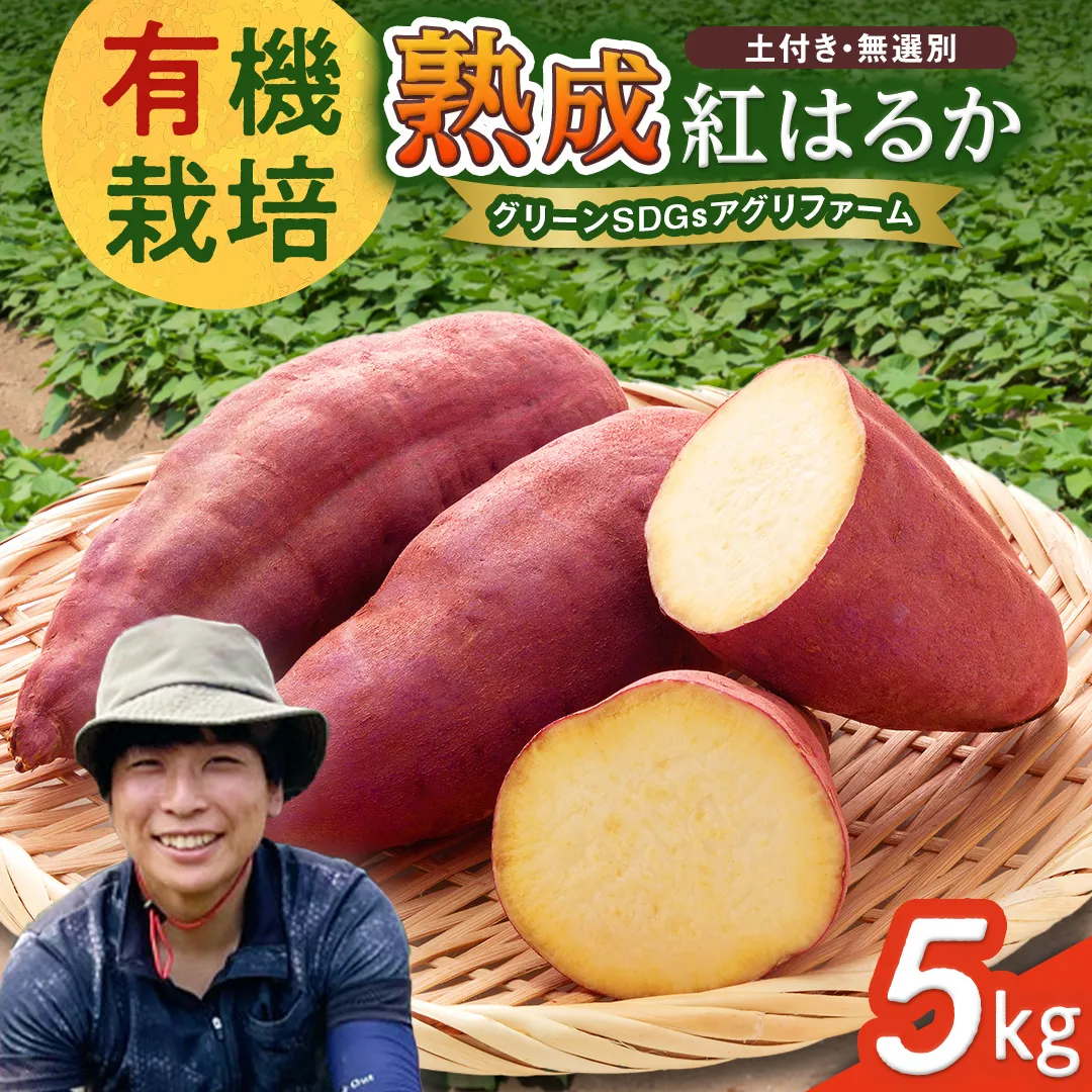 茨城県産 紅はるか 5kg 土付き 無選別 熟成 さつまいも 生芋 芋 サツマイモ 農薬不使用 化学肥料不使用 甘い 焼き芋 スイートポテト ねっとり [DX08-NT]