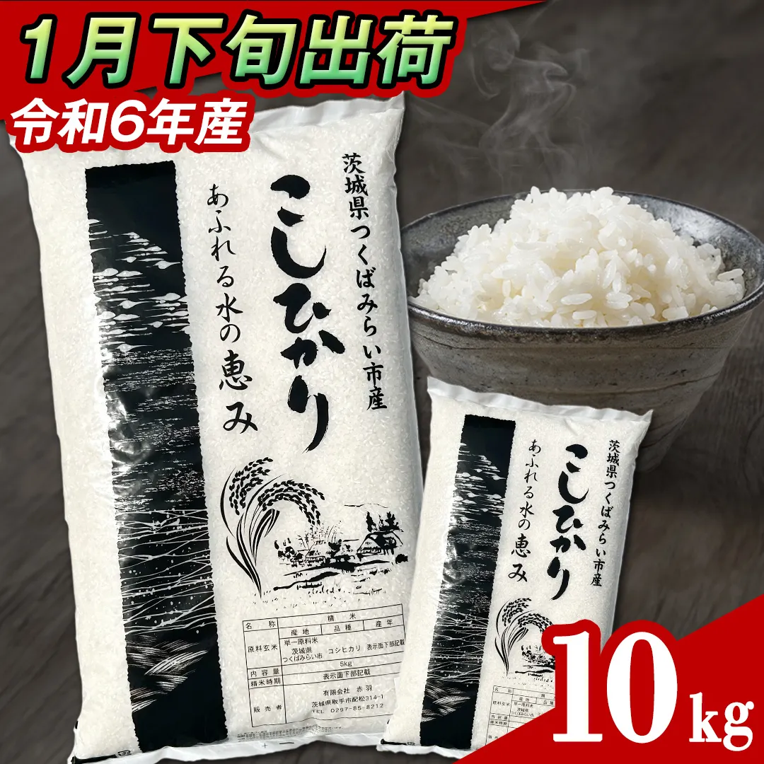 【 1月下旬発送 / 数量限定 】新米 茨城県産 コシヒカリ 精米 10kg (5kg×2袋） 令和6年産 こしひかり 米 コメ こめ 単一米 限定 茨城県産 国産 美味しい お米 おこめ おコメ [CL32-NT]