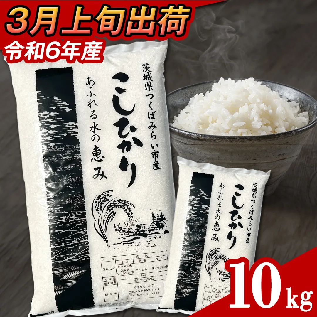 【 3月上旬発送 / 数量限定 】新米 茨城県産 コシヒカリ 精米 10kg (5kg×2袋） 令和6年産 こしひかり 米 コメ こめ 単一米 限定 茨城県産 国産 美味しい お米 おこめ おコメ [CL35-NT]