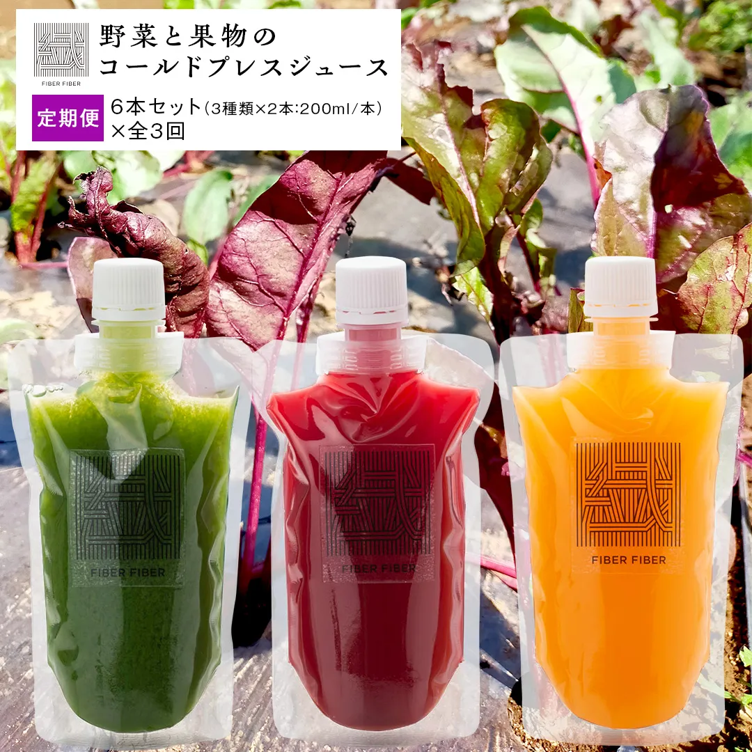 【定期便 全３回】野菜と果物の コールドプレスジュース 200ml × 6本セット 酵素ドリンク デトックス 免疫 ライフスタイル 健康 美容 無添加 野菜 果物 新鮮 有機 無農薬 減農薬 特別栽培 SDGs ジュース 冷凍 解毒 胃腸 やさしい ターンオーバー 代謝 老廃物 新陳代謝 [DZ06-NT]