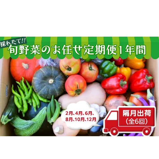 【数量限定】旬野菜のお任せ定期便１年間（隔月出荷　２月４月６月８月１０月１２月） [AH04-NT]