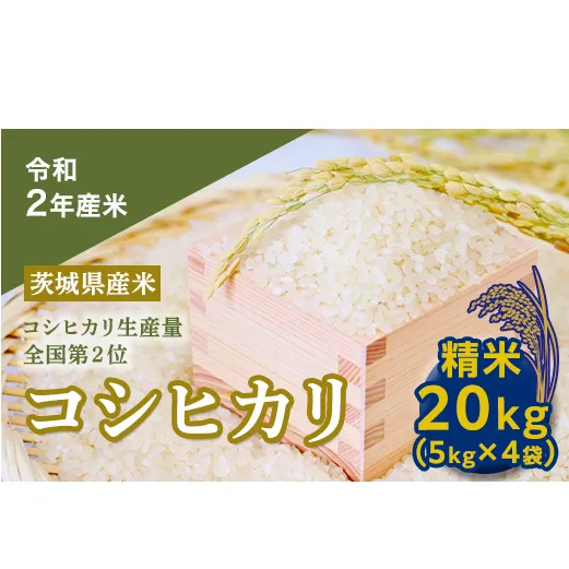 【数量限定】＜令和２年産米＞茨城県産コシヒカリ２０kg [AH16-NT]