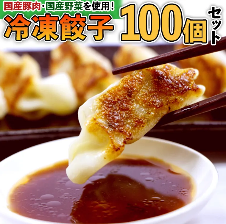 国産豚肉！国産野菜使用！冷凍餃子100個セット 冷凍食品 惣菜 中華惣菜 まとめ買い [BE02-NT]