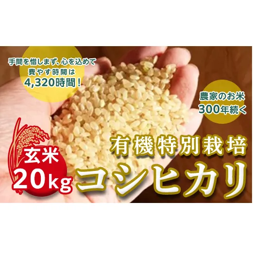 ＜令和２年産＞三百年続く農家の有機特別栽培コシヒカリ（【玄米】２０ｋｇ） [AC04-NT]