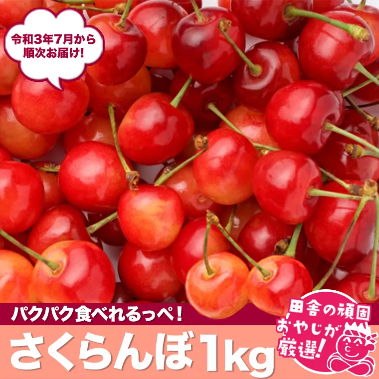 田舎の頑固おやじが厳選！たっぷりさくらんぼ1kg【令和3年7月から順次お届け】 [BI51-NT]