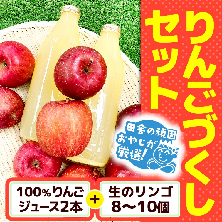 田舎の頑固おやじが厳選！100％りんごジュース2本＆生りんご8～10個のりんごづくしセット【令和3年9月から順次お届け】 [BI66-NT]