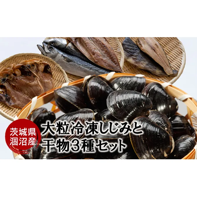 涸沼産 大粒 冷凍 シジミ 1.5kg 干物 3点セット （サバ ホッケ 目光） しじみ 蜆 大和しじみ ヤマトシジミ 大玉 砂抜き済 冷凍 味噌汁 スープ 魚貝類 貝 オルニチン コハク酸 サバ ホッケ 目光 小分け