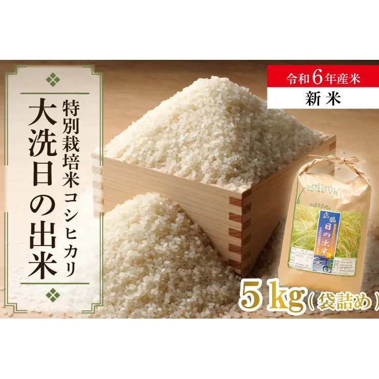 【新米】米 5kg 低農薬米 大洗 日の出米 コシヒカリ 令和6年産 特別栽培米 コメ こめ 送料無料