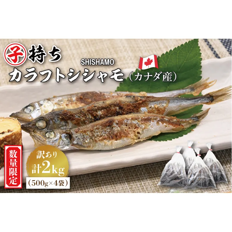 【数量限定！】 子持ち カラフトシシャモ ２kg (500g×4袋) 訳アリ シシャモ ししゃも カラフトししゃも 大洗 規格外 訳あり わけあり 傷