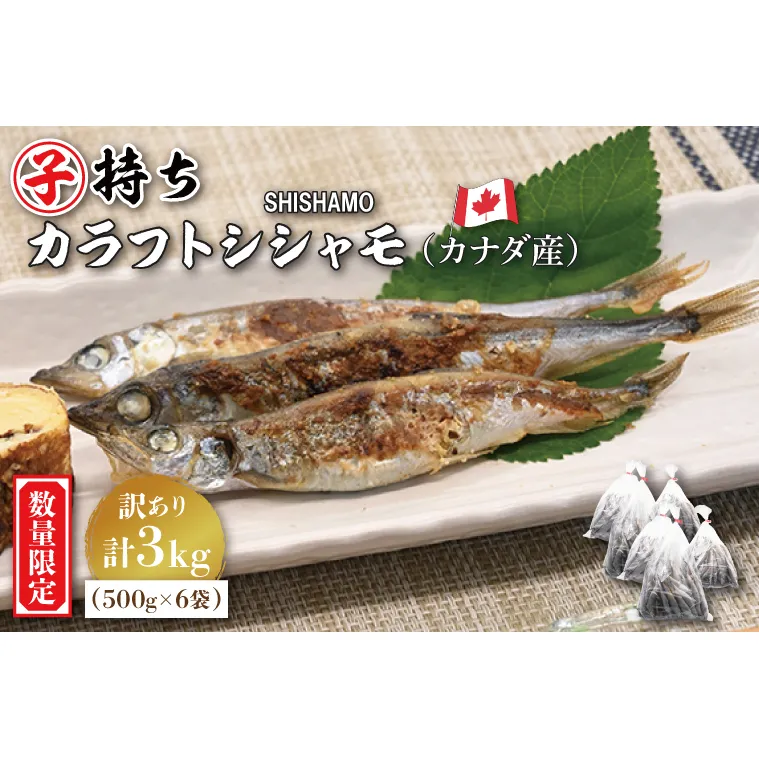  【数量限定！】 子持ち カラフトシシャモ 3kg (500g×6袋) 訳アリ シシャモ ししゃも カラフトししゃも 大洗 規格外 訳あり わけあり 傷