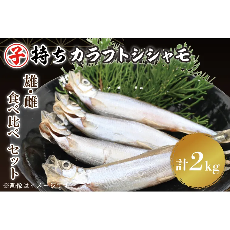 ししゃも雄雌食べ比べ 2ｋｇ セット 訳アリ シシャモ ししゃも カラフトししゃも 大洗 規格外 訳あり わけあり 傷