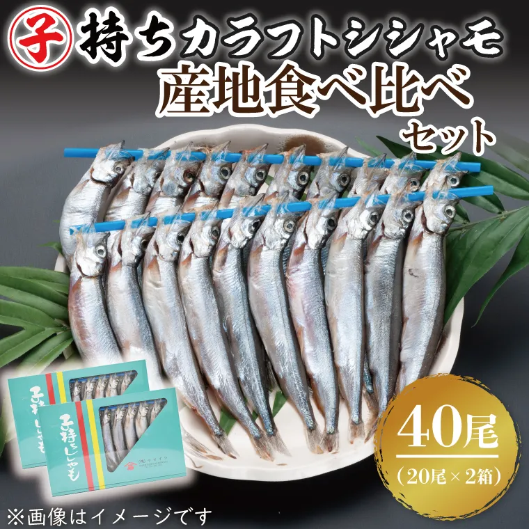 子持ちカラフトシシャモ産地食べ比べセット４０尾（２０尾×２箱） シシャモ ししゃも カラフトししゃも 大洗 カナダ産 アイスランド産