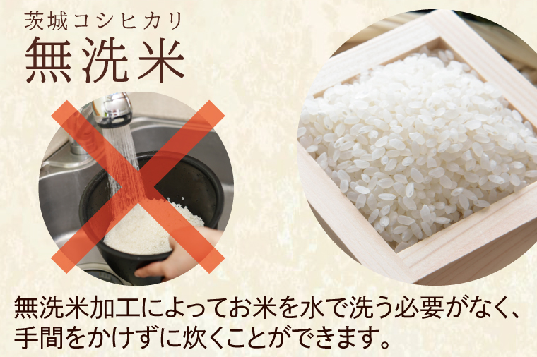 令和6年産 無洗米 茨城 コシヒカリ 10kg (5kg×２袋) 米 お米 おこめ 白米 ライス ご飯 精米 こしひかり 国産 茨城県産｜大洗町｜茨城県｜返礼品をさがす｜まいふる  by AEON CARD