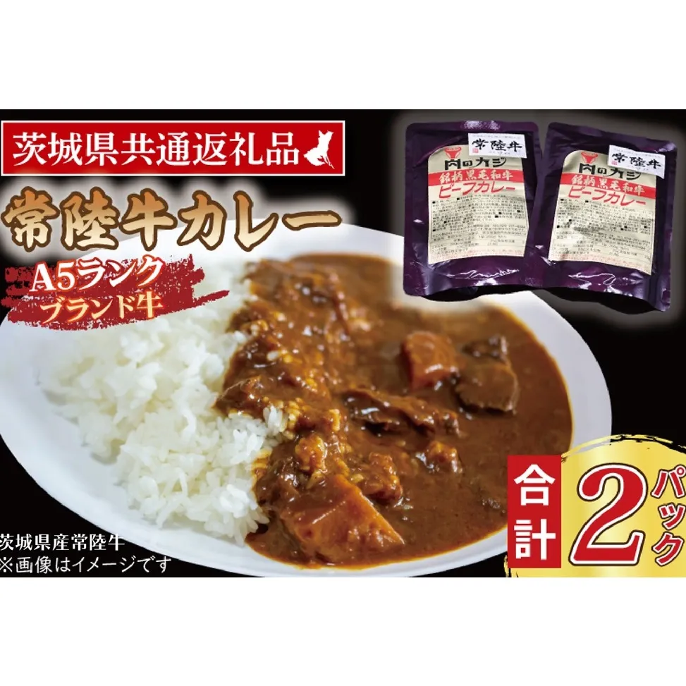 常陸牛カレー 200g×2パック ( 茨城県共通返礼品・茨城県産 ) ブランド牛 茨城 国産 常陸牛 黒毛和牛 霜降り 牛肉 カレー レトルト レトルトパウチ レトルトカレー