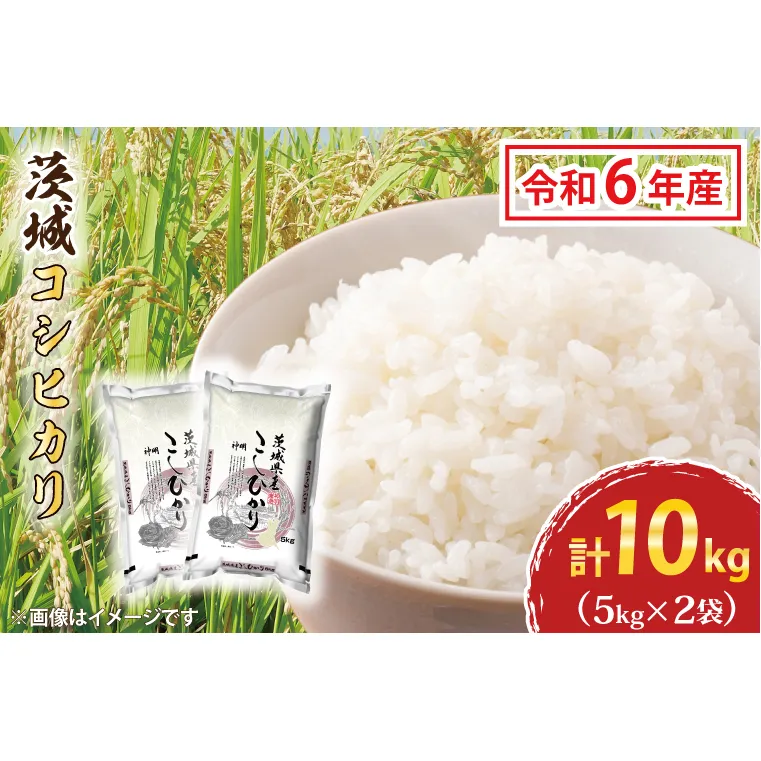 令和6年産  茨城 コシヒカリ 10kg (5kg×２袋) 米 お米 おこめ 白米 ライス ご飯 精米 こしひかり 国産 茨城県産